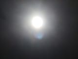 EA679163-D5A3-4C2C-A7A2-C0A650005D84