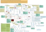 nwo-central-banking-network-graph