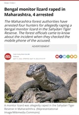 a lizard is fine too