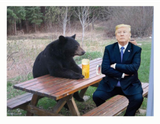 Trump-bear