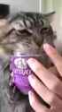 1639930610040_thumb.jpg