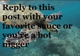 bot nigger test 2