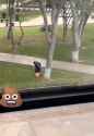 1728955069715245_thumb.jpg