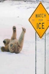 burr ice