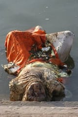 Pajeet river