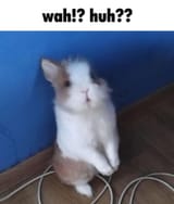 1000005656