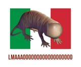 marxio mole rat