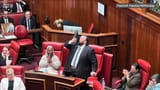 shoey in parliament