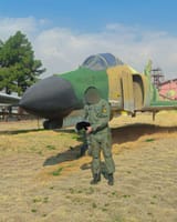 iranian decoy plane