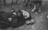 Alexander_Wienerberger_Holodomor Soviet famine of 1930–1933