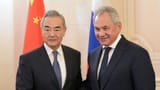 security council secretary sergei shoigu visits foreign minister wang yi to finalize the creation of the ruschink empire, february 28th 2025