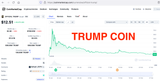 Trump memecoin
