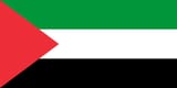 2560px-Flag_of_Palestine_%281948%E2%80%931964%29.svg