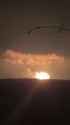 Last night, a Russian ammunition depot was hit in temporarily occupied Khartsyzk, Donetsk region. A large fire broke out at the site, 03-07-2025 HD CHUG BOOM_thumb.jpg