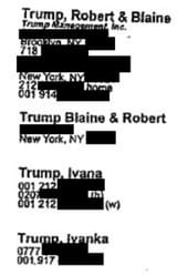 trump_family_epstein_book