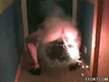 firework surprise