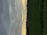 IMG_3787