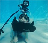 aqua cat