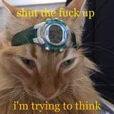 1751523459786584m