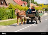 hungarian-people-traveling-in-horse-and-cart-near-gyor-hungary-eastern-BEKM9P