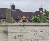 IMG_20250703_151128