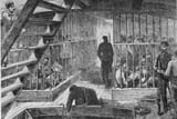 convicts-in-a-prison-ship