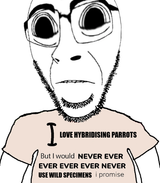 Hybridising Parrots