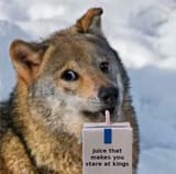 juicedogewolf