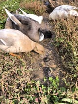 IMG_20241109_120801549