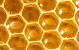 le-hive