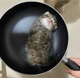 chinese food PVVuOC_wNPvu7VRZJXVL3A