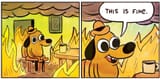 This is Fine