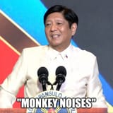 9z9q61