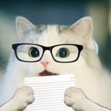 NIGGERKOTGLASSES