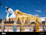 buddhamaxxin