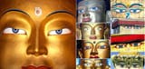 Buddha blue eyes white