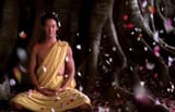 Little-Buddha