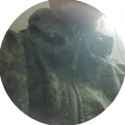 Nork1_thumb.jpg
