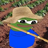 Farmer_pepe