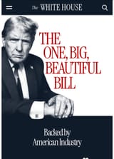 I_voted_for_this_