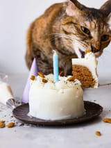 CARROTKOTCAKE02