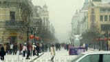 5.-Harbin-Central-Avenue