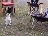 KOTGRILLING05