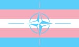nato_flag_ukraine_EU_Canada_America_USA