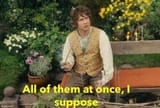 bilbo all at once