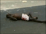 Nigger skull blasted and splattered