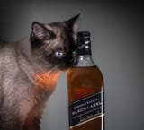 JWBLACKOT