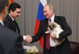 vladimir-putin-puppy