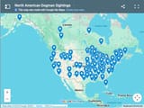 wolfmap