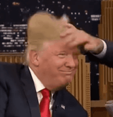pet the trump